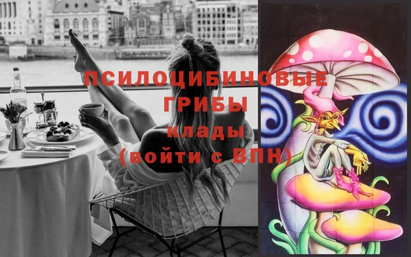 ГАЛЛЮЦИНОГЕННЫЕ ГРИБЫ Белоозёрский