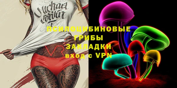 ГАЛЛЮЦИНОГЕННЫЕ ГРИБЫ Белоозёрский