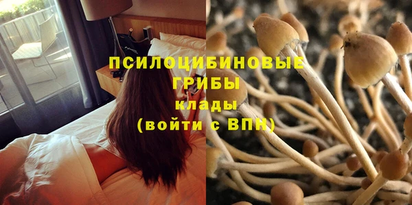круглые Белокуриха