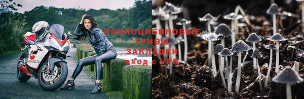 круглые Белокуриха