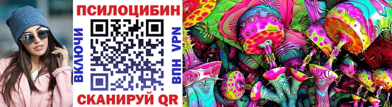 блэк спрут онион  Воркута  Псилоцибиновые грибы Psilocybe 